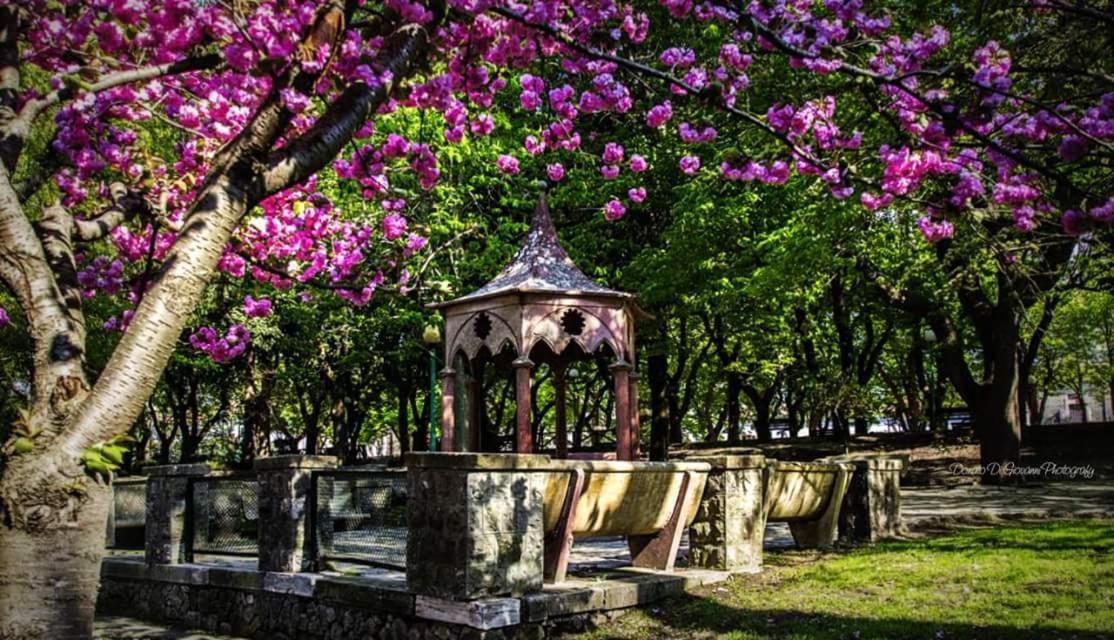 Dormire Nel Borgo Bovino Екстериор снимка